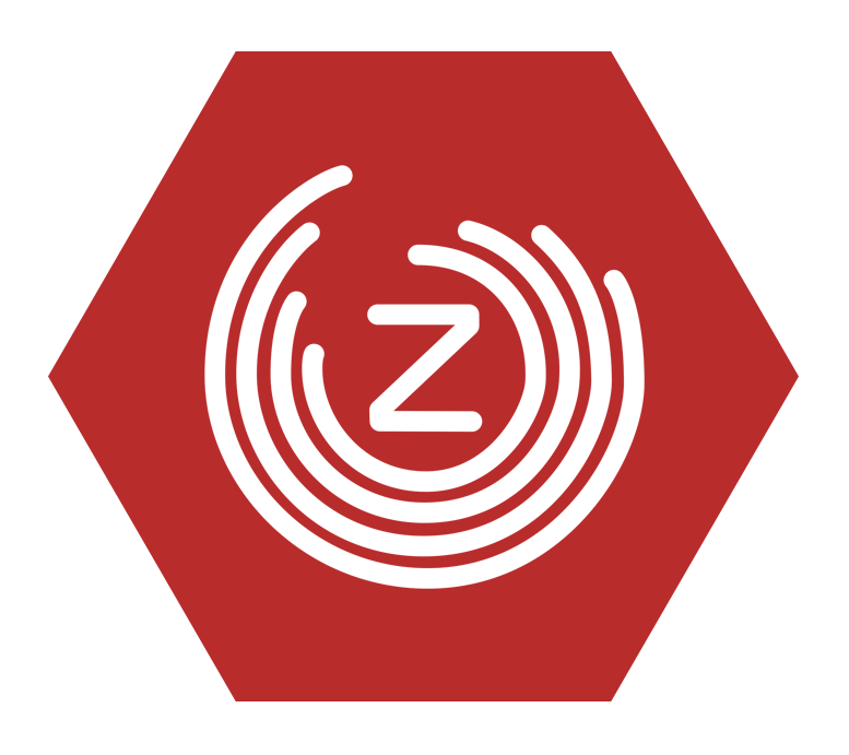 zaragoza en comu icon